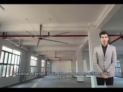 5.0M 16FT Kipas besar untuk sirkulasi udara yang optimal di ruang sekolah dan gymnasium