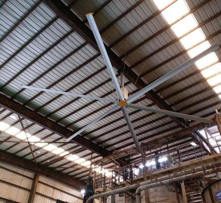 Harga yang bagus Big Size Air Cooler sebagai Exhaust Fan untuk Warehouse Cooling Down HVls Fan on line