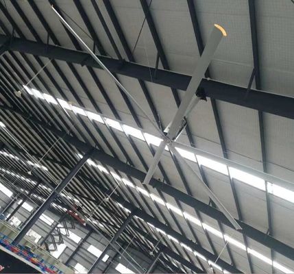 Harga yang bagus 18 kaki 5 Blade HVls Fan on line